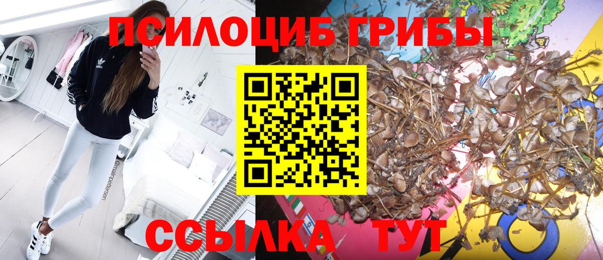 Псилоцибиновые грибы мицелий  Вход с VPN  Прокопьевск 